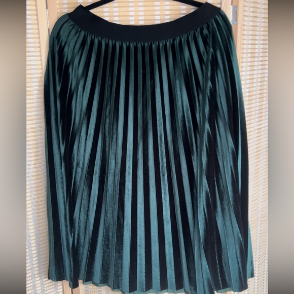 **NWOT SIZE L** Solid Velvet Pleated Skirt - Picture 1 of 4